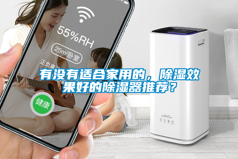 有沒有適合家用的，除濕效果好的除濕器推薦？