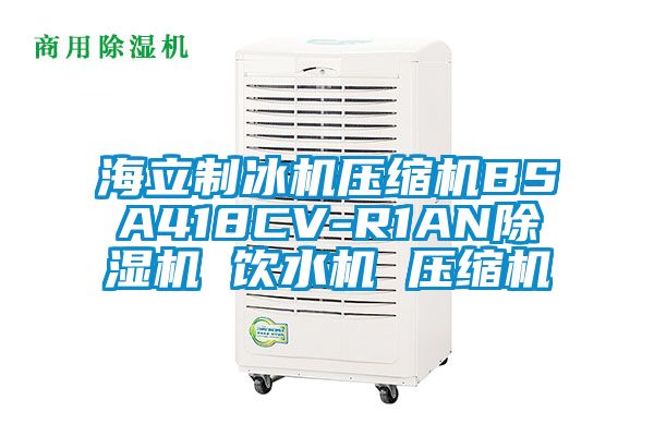 海立制冰機壓縮機BSA418CV-R1AN除濕機 飲水機 壓縮機