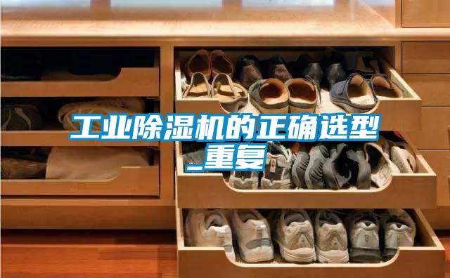 工業除濕機的正確選型_重復