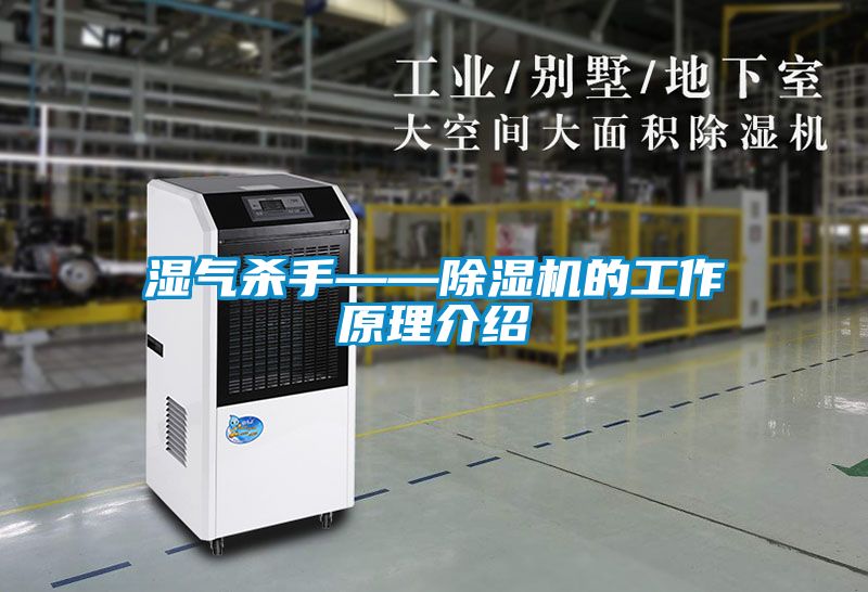 濕氣殺手——除濕機的工作原理介紹