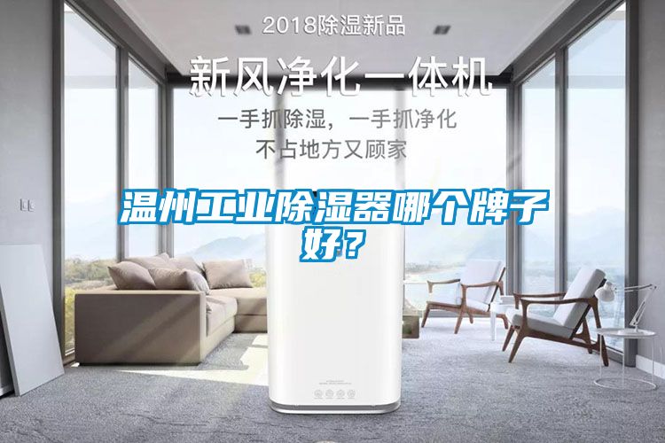 溫州工業除濕器哪個牌子好？