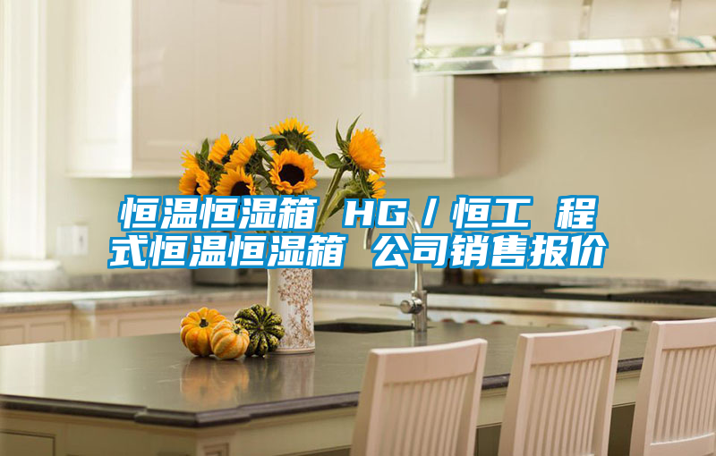 恒溫恒濕箱 HG／恒工 程式恒溫恒濕箱 公司銷售報(bào)價(jià)