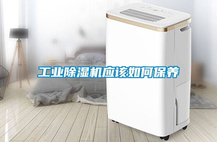 工業除濕機應該如何保養