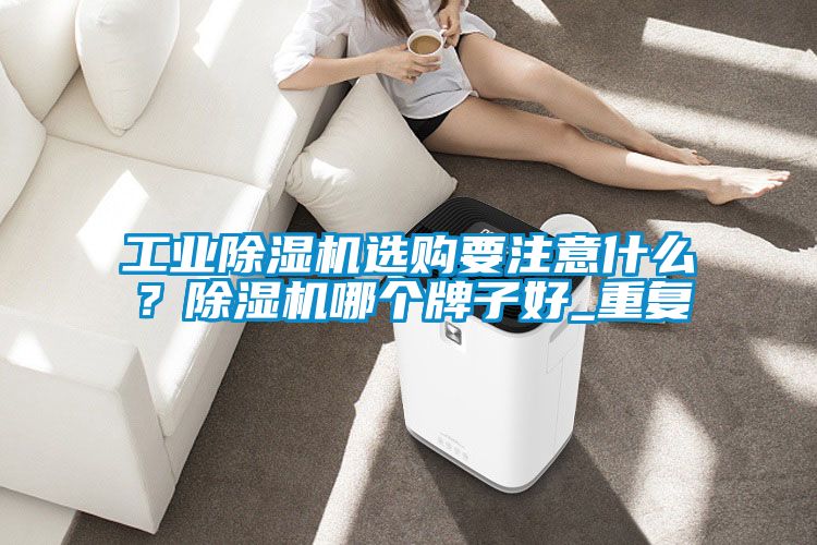 工業(yè)除濕機選購要注意什么？除濕機哪個牌子好_重復(fù)