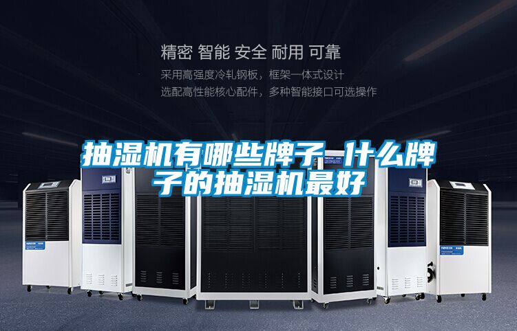 抽濕機有哪些牌子 什么牌子的抽濕機最好