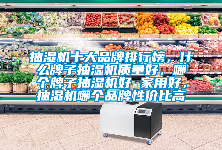 抽濕機(jī)十大品牌排行榜，什么牌子抽濕機(jī)質(zhì)量好，哪個(gè)牌子抽濕機(jī)好 家用好，抽濕機(jī)哪個(gè)品牌性價(jià)比高