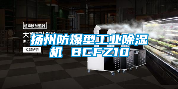 揚州防爆型工業除濕機 BCFZ10