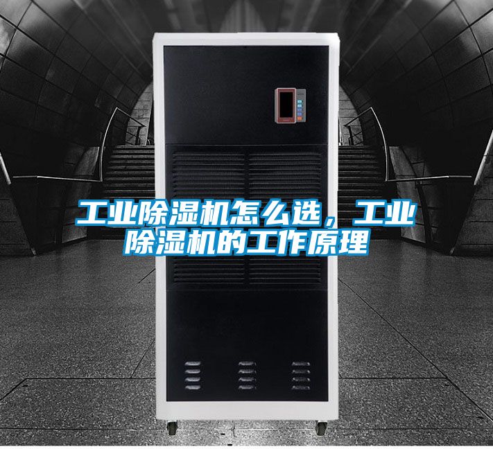 工業除濕機怎么選，工業除濕機的工作原理