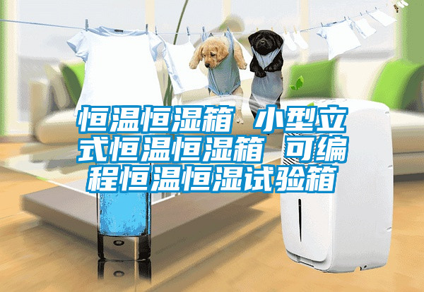 恒溫恒濕箱 小型立式恒溫恒濕箱 可編程恒溫恒濕試驗箱