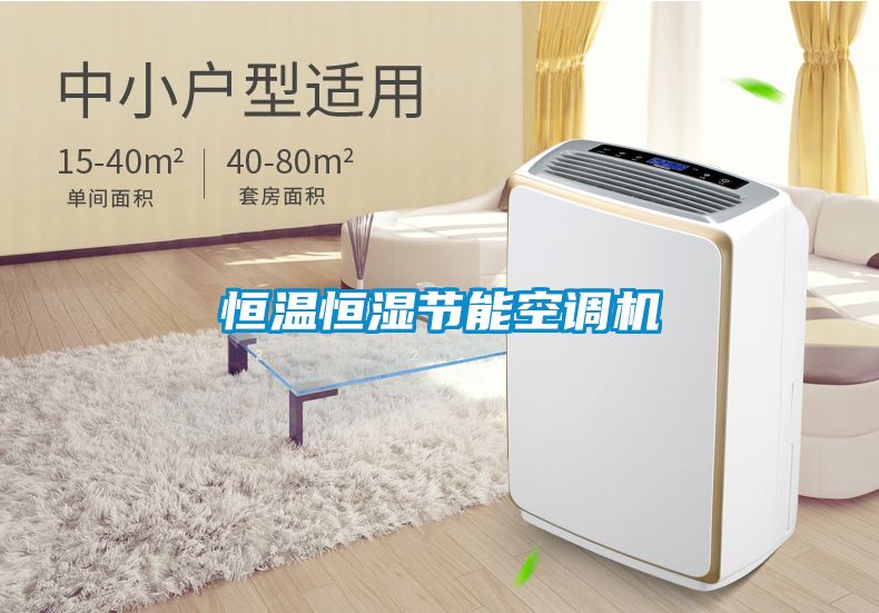 恒溫恒濕節能空調機