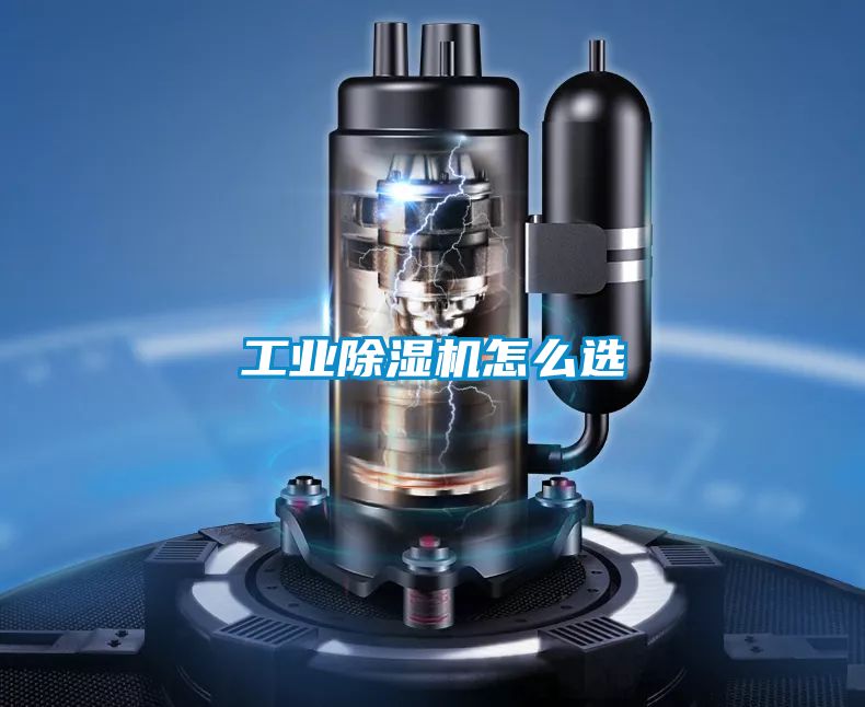 工業(yè)除濕機(jī)怎么選