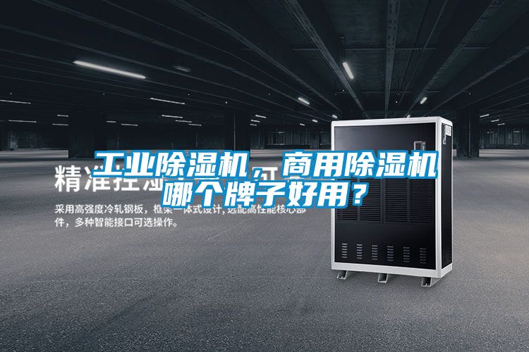 工業(yè)除濕機(jī)，商用除濕機(jī)哪個牌子好用？