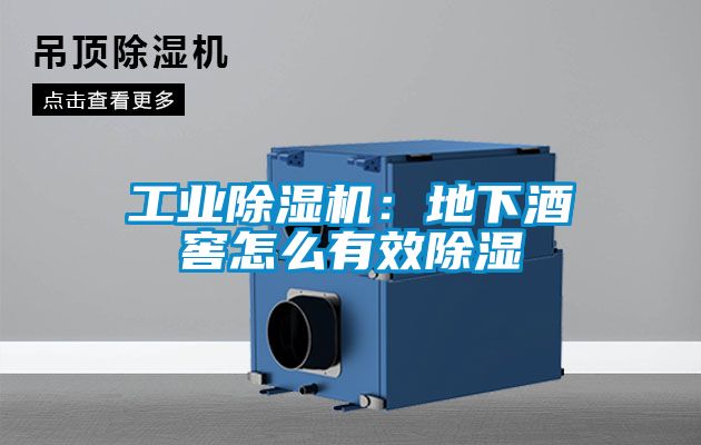 工業(yè)除濕機：地下酒窖怎么有效除濕
