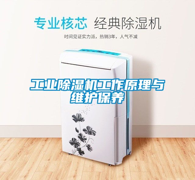 工業除濕機工作原理與維護保養