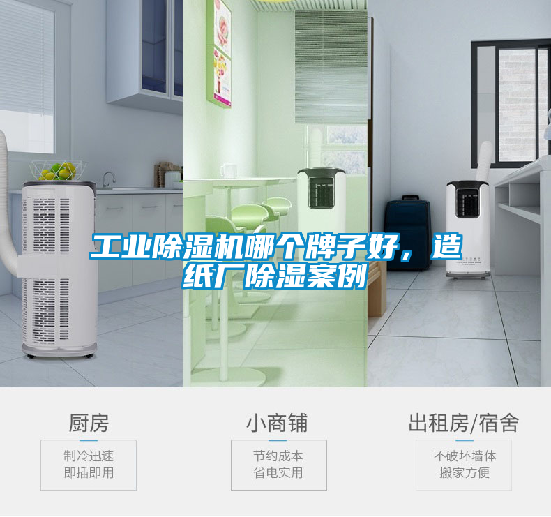 工業除濕機哪個牌子好，造紙廠除濕案例