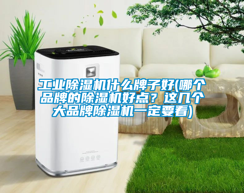 工業除濕機什么牌子好(哪個品牌的除濕機好點？這幾個大品牌除濕機一定要看)