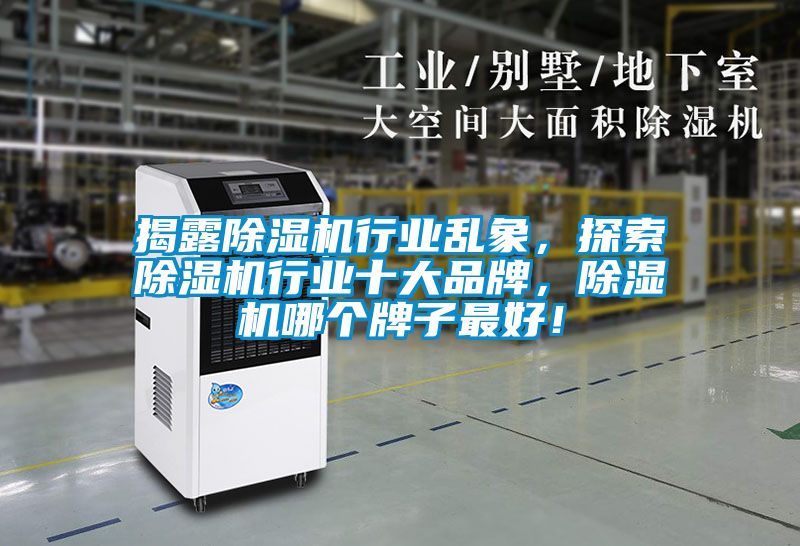 揭露除濕機行業(yè)亂象，探索除濕機行業(yè)十大品牌，除濕機哪個牌子最好！