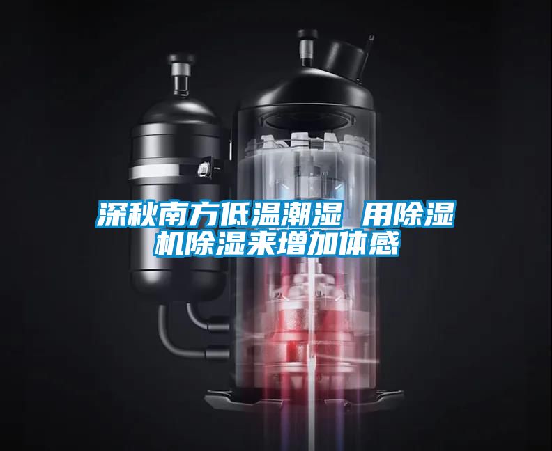 深秋南方低溫潮濕 用除濕機除濕來增加體感