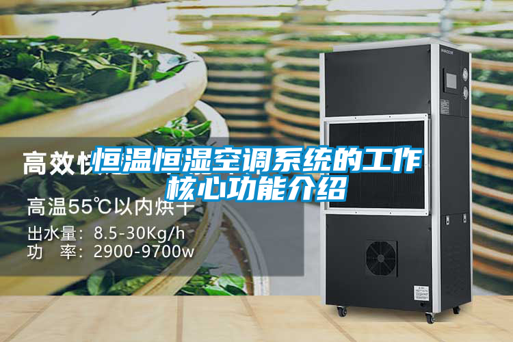 恒溫恒濕空調系統的工作核心功能介紹