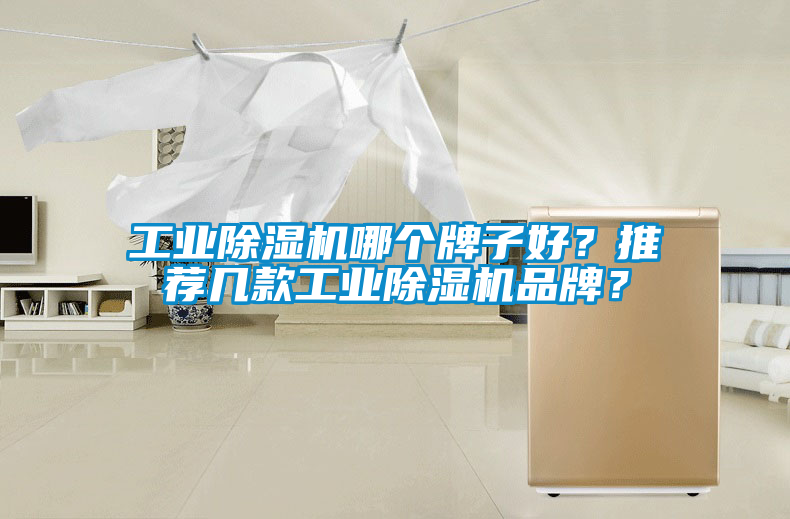 工業除濕機哪個牌子好？推薦幾款工業除濕機品牌？