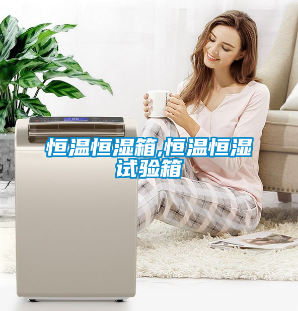 恒溫恒濕箱,恒溫恒濕試驗箱