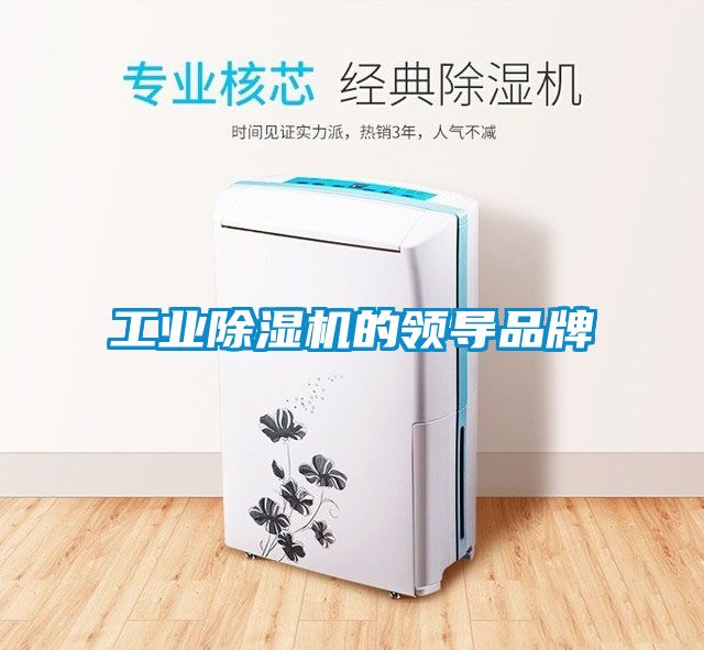 工業(yè)除濕機(jī)的領(lǐng)導(dǎo)品牌