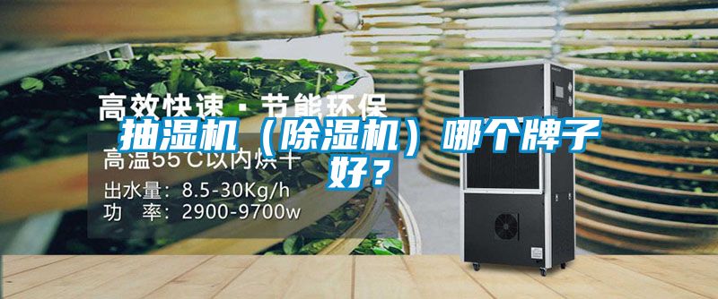 抽濕機（除濕機）哪個牌子好？