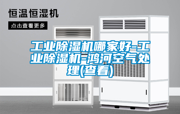 工業除濕機哪家好-工業除濕機-鴻河空氣處理(查看)