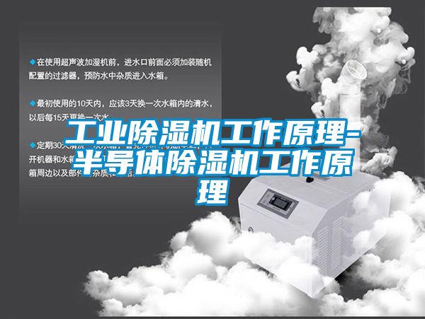 工業(yè)除濕機工作原理-半導體除濕機工作原理