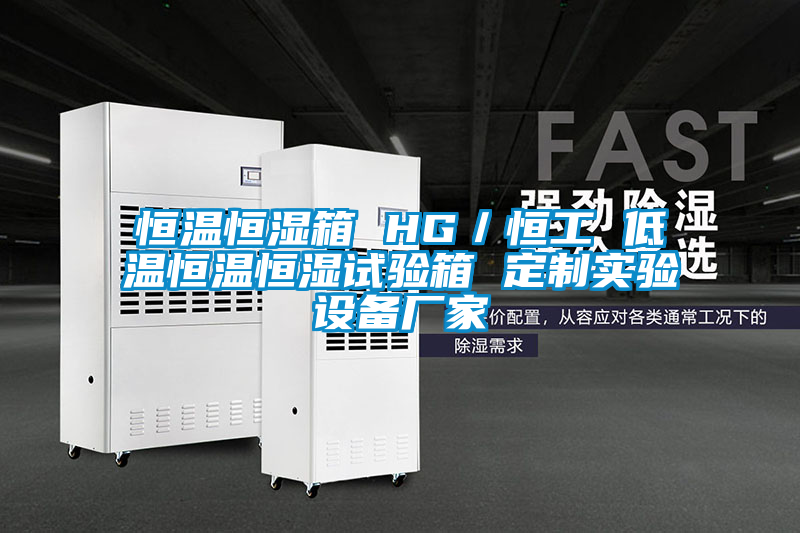 恒溫恒濕箱 HG／恒工 低溫恒溫恒濕試驗箱 定制實驗設備廠家