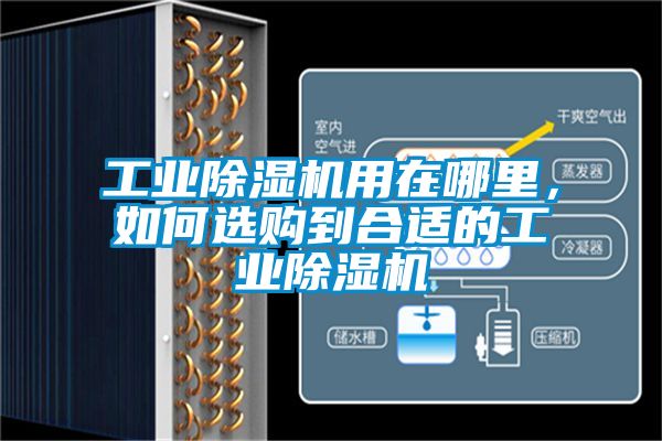工業除濕機用在哪里，如何選購到合適的工業除濕機