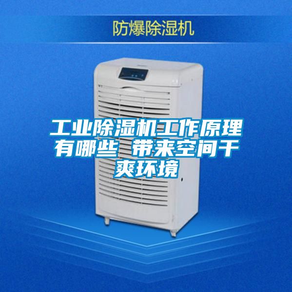 工業除濕機工作原理有哪些 帶來空間干爽環境
