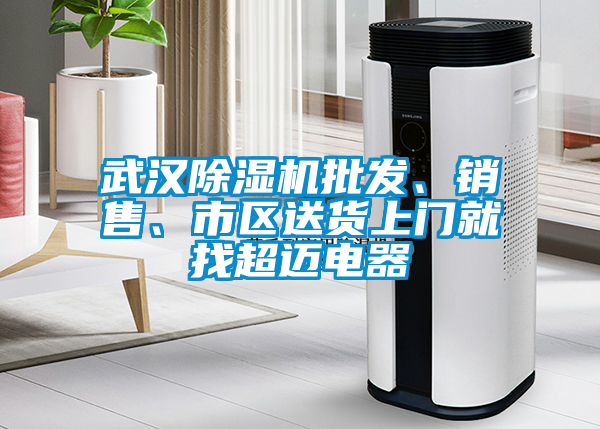 武漢除濕機批發、銷售、市區送貨上門就找超邁電器