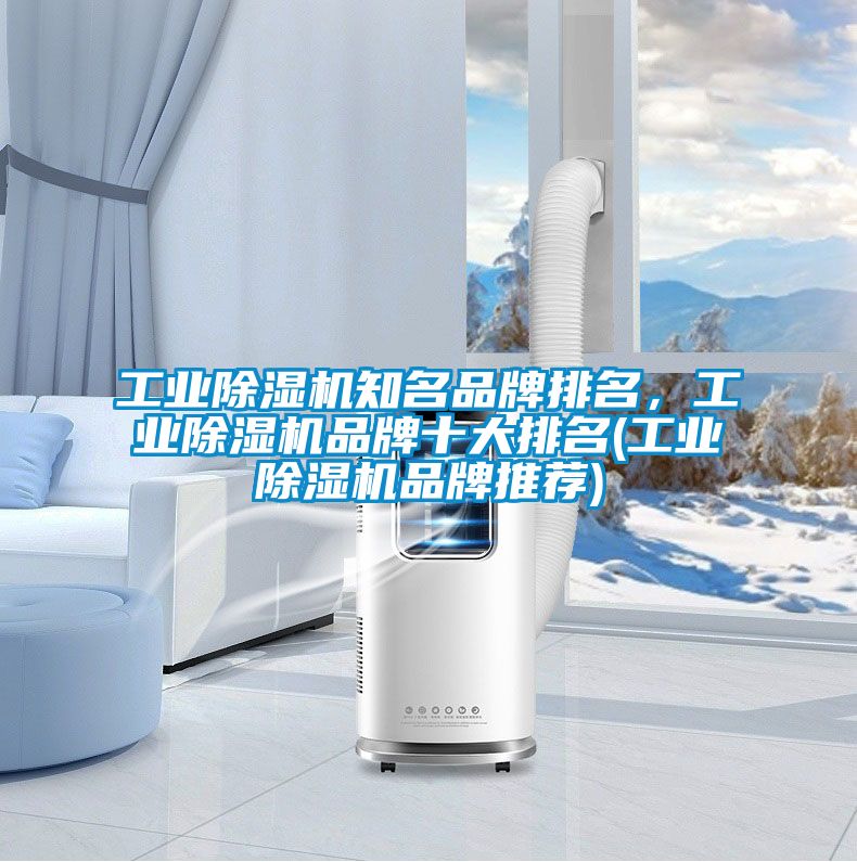 工業除濕機知名品牌排名，工業除濕機品牌十大排名(工業除濕機品牌推薦)