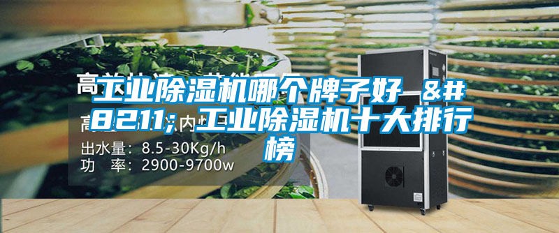 工業除濕機哪個牌子好 – 工業除濕機十大排行榜
