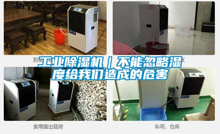 工業(yè)除濕機｜不能忽略濕度給我們造成的危害