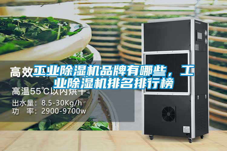 工業(yè)除濕機(jī)品牌有哪些，工業(yè)除濕機(jī)排名排行榜