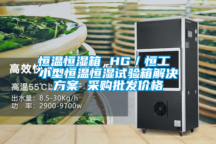 恒溫恒濕箱 HG／恒工 小型恒溫恒濕試驗箱解決方案 采購批發價格