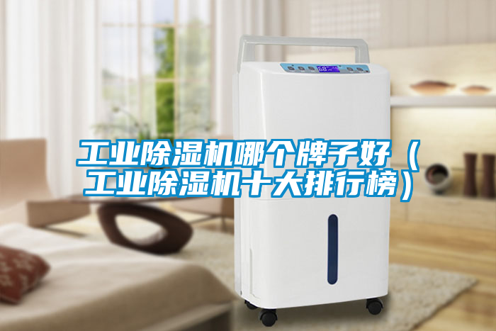 工業(yè)除濕機哪個牌子好（工業(yè)除濕機十大排行榜）