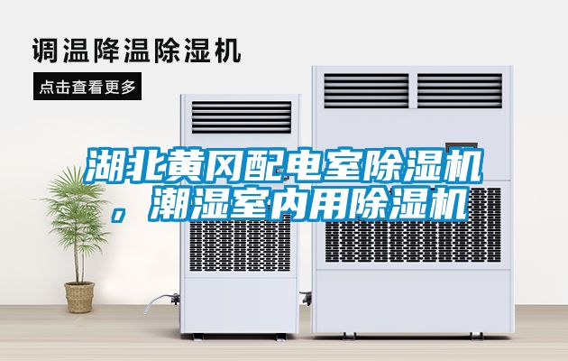 湖北黃岡配電室除濕機(jī)，潮濕室內(nèi)用除濕機(jī)