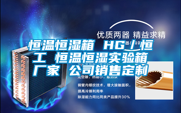 恒溫恒濕箱 HG／恒工 恒溫恒濕實驗箱廠家 公司銷售定制