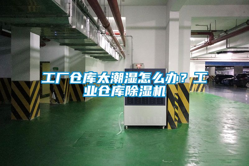 工廠倉(cāng)庫(kù)太潮濕怎么辦？工業(yè)倉(cāng)庫(kù)除濕機(jī)