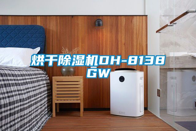 烘干除濕機DH-8138GW