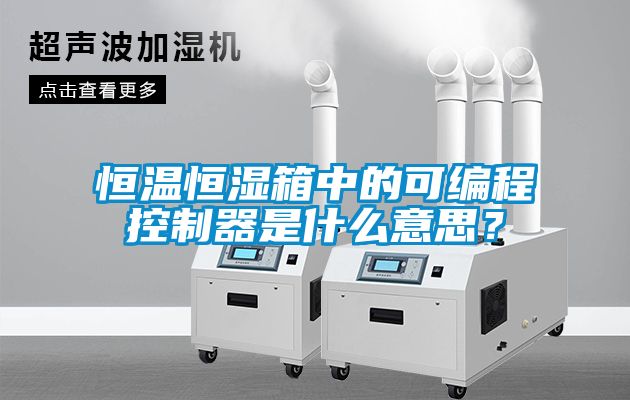 恒溫恒濕箱中的可編程控制器是什么意思？