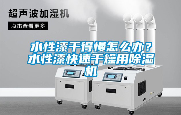 水性漆干得慢怎么辦？水性漆快速干燥用除濕機