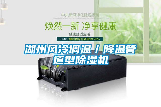 湖州風冷調溫／降溫管道型除濕機