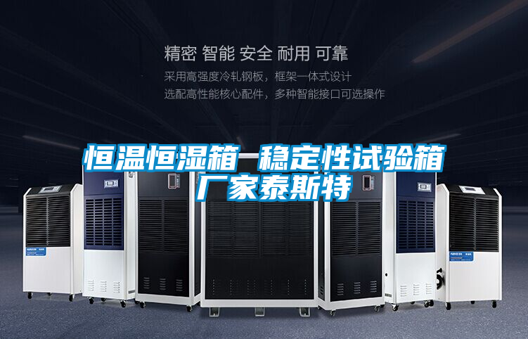 恒溫恒濕箱 穩定性試驗箱 廠家泰斯特