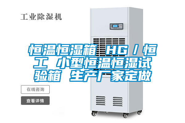 恒溫恒濕箱 HG／恒工 小型恒溫恒濕試驗箱 生產(chǎn)廠家定做