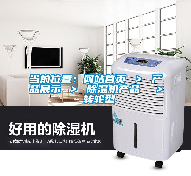 當前位置：網站首頁 ＞ 產品展示 ＞ 除濕機產品  ＞ 轉輪型