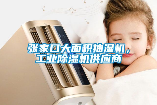 張家口大面積抽濕機，工業除濕機供應商